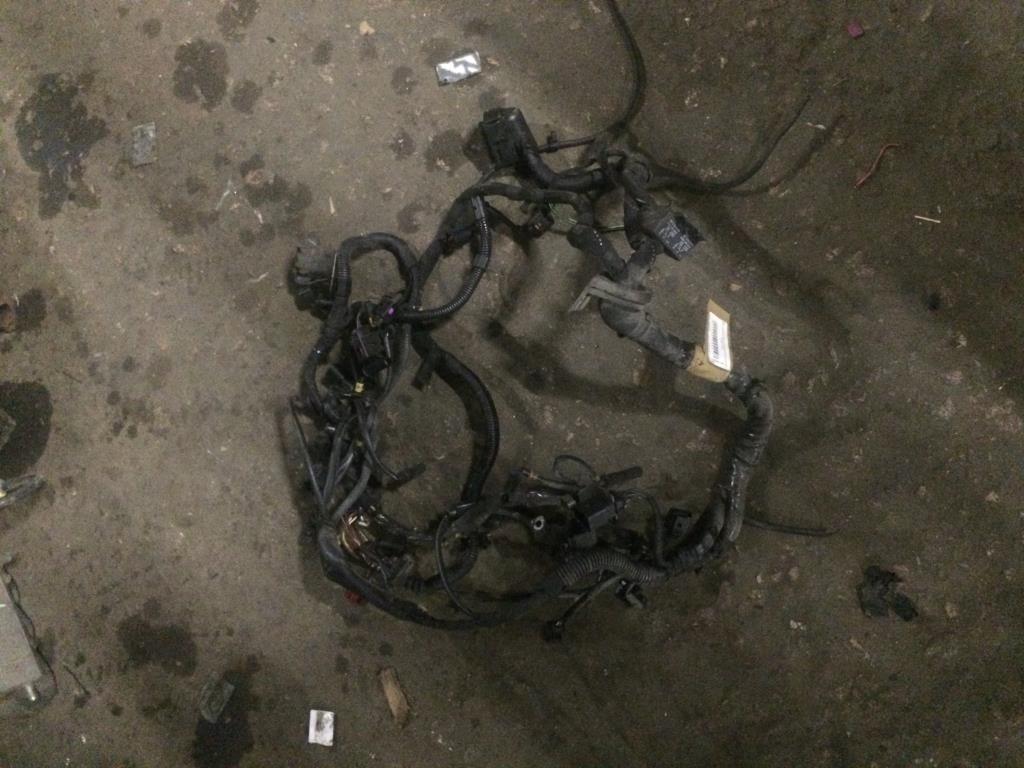 Audi Q7 (4L)  2005 - 2009 для Жгут проводов двигателя