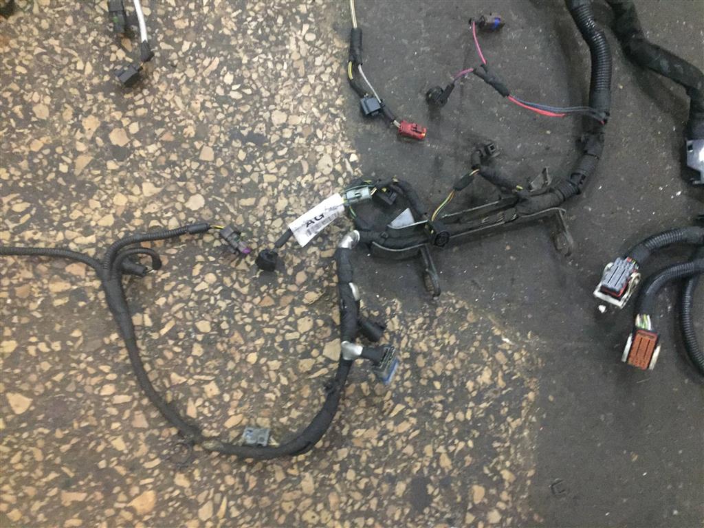 Land Rover Range Rover Sport L320 2005- для Жгут проводов двигателя