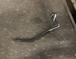 Трубка системы охлаждения АКПП для Audi A6 (C7 4G)2011-2014  запчасти бу