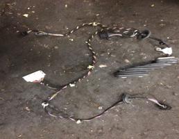 Жгут проводов двери для Skoda Octavia (A5 1Z-) 2004-2009  запчасти бу