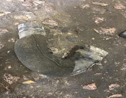 шланг для Audi A4 (B8) 2007-2012  запчасти бу