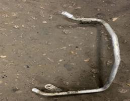 Шланг системы охлаждения для Audi A6 (C7 4G)2011-2014  запчасти бу