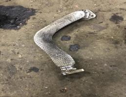 Патрубок для Audi A6 (C6 4F) Allroad quattro 2005-2012  запчасти бу